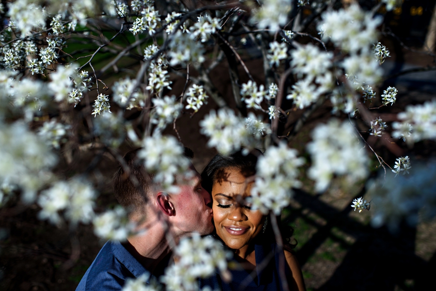 An engaged couple in Philadelphia share a kiss under the blooming flowers of a tree along the Schuylkill River Trail.